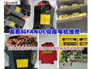   FANUC servo motor maintenance 